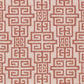 Linea Maze