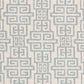 Linea Maze